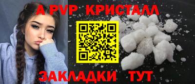 круглые Кингисепп
